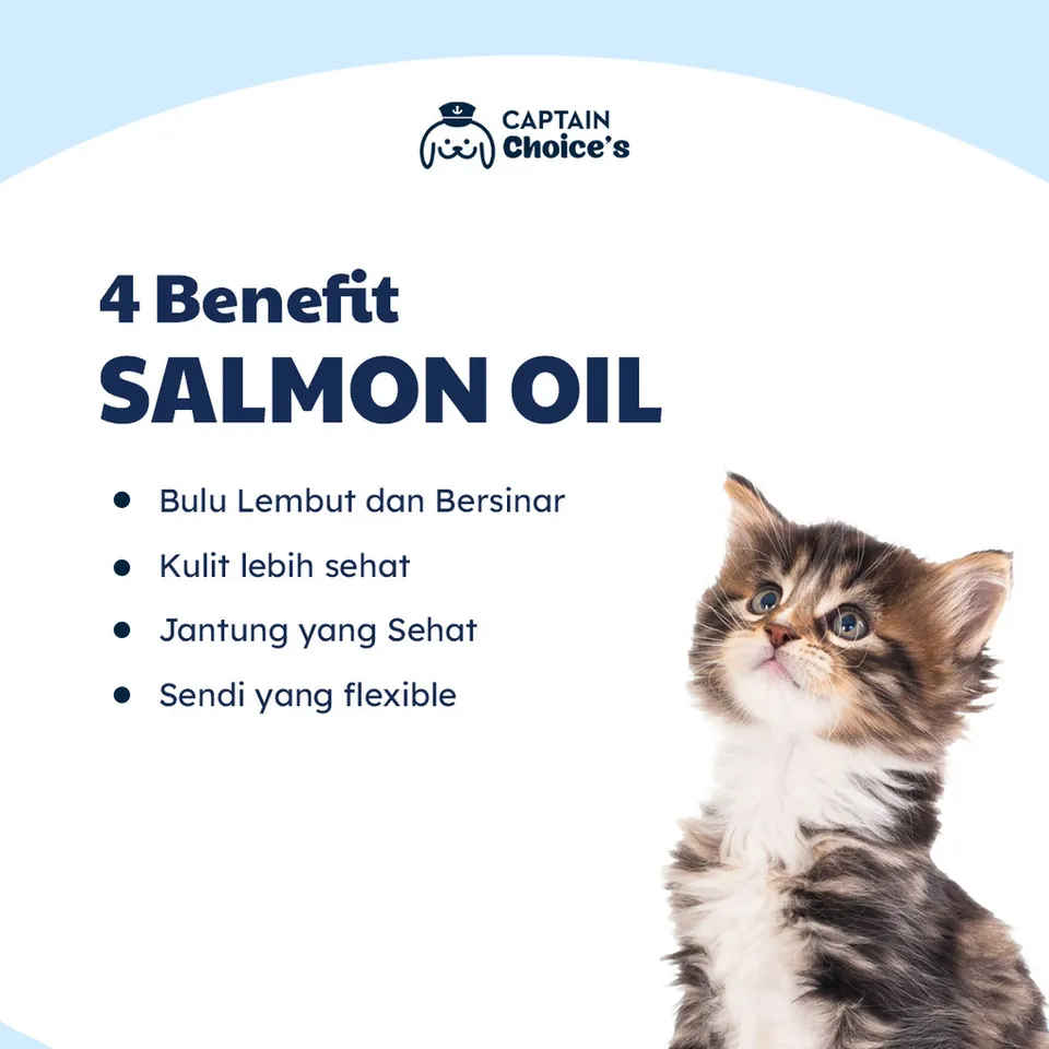 Salmon Oil Untuk Kucing Anjing