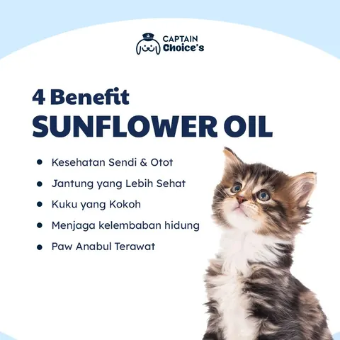 Sun Flower Oil Untuk Kucing Anjing 3