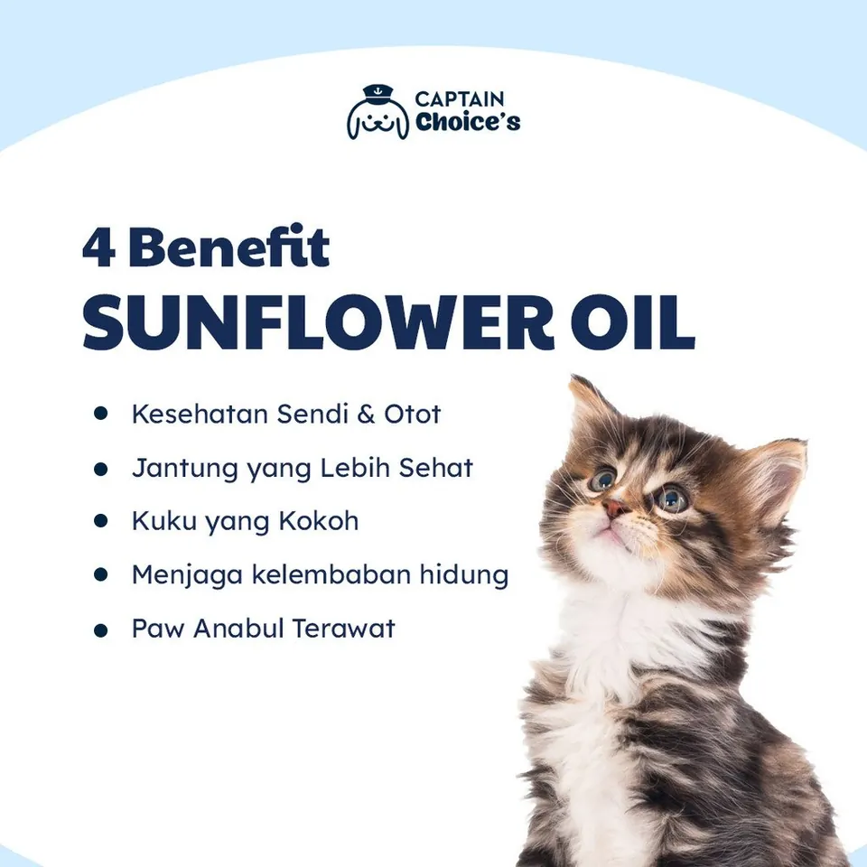 Sun Flower Oil Untuk Kucing Anjing