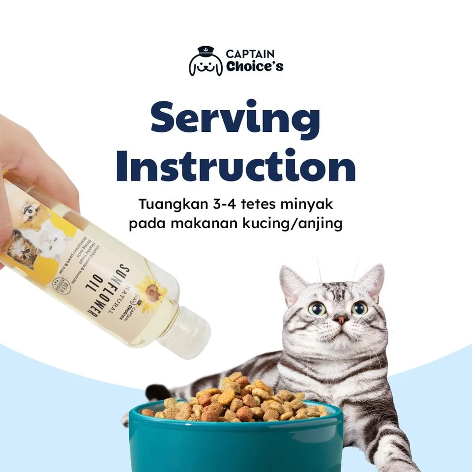 Sun Flower Oil Untuk Kucing Anjing