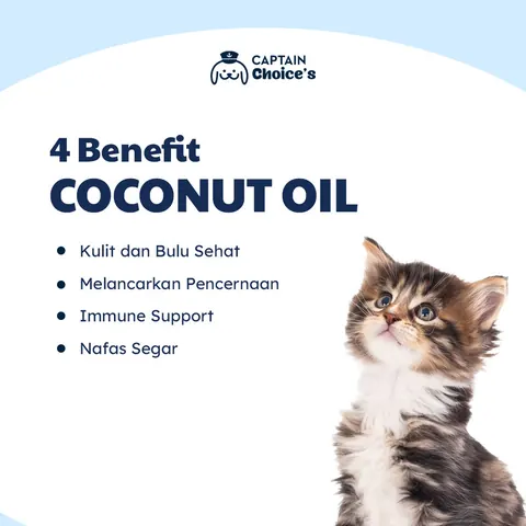 Virgin Coconut Oil Untuk Kucing Anjing 3