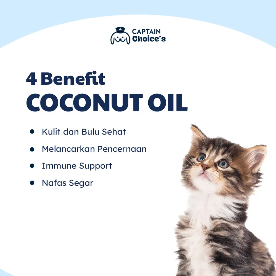 Virgin Coconut Oil Untuk Kucing Anjing