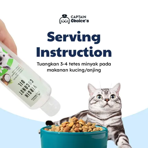 Virgin Coconut Oil Untuk Kucing Anjing 4