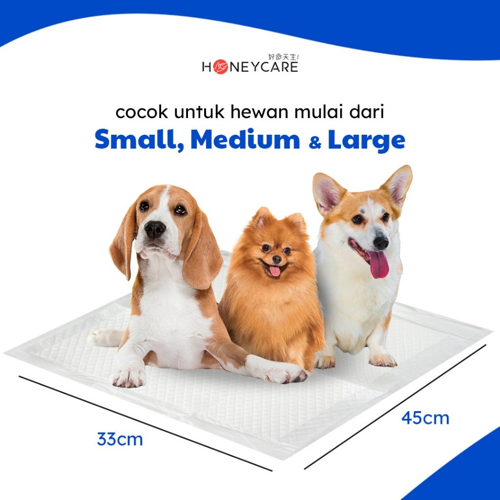 6 Layer Premium Training Pee Pad 5