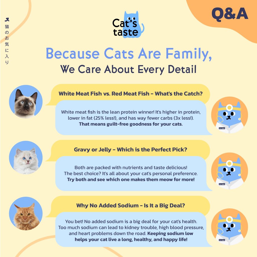 Healthy Series – Complete Care Wet Food 70g - Skin n Fur 5