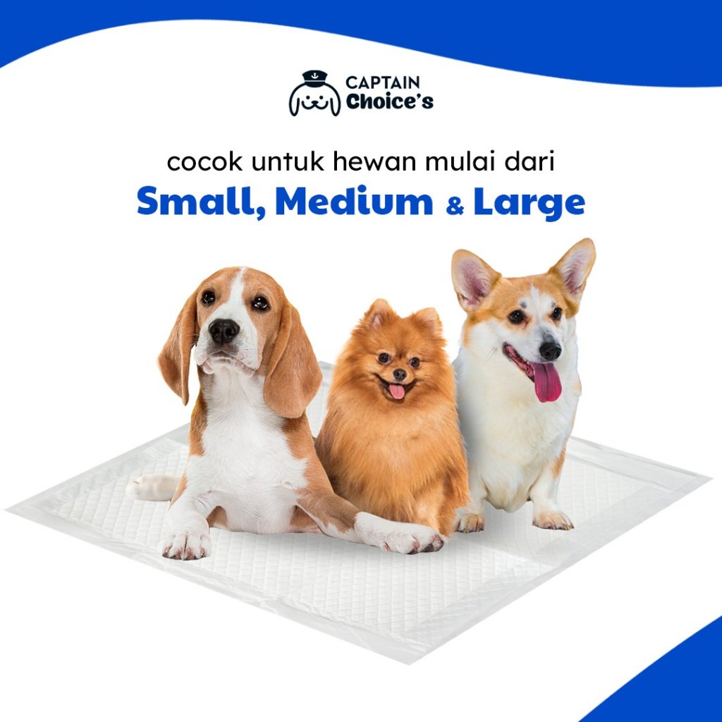 Training Pee Pad – Alas Kandang & Toilet Hewan 6