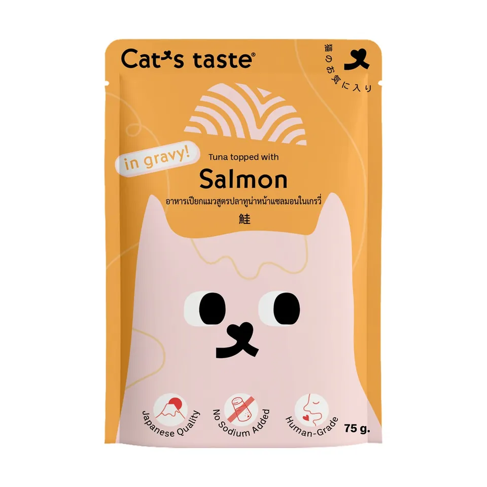 Cat Wet Food Pouch Gravy 70g - Salmon
