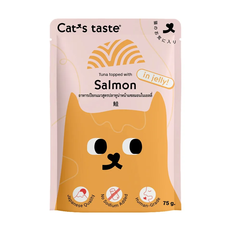Cat Wet Food Pouch Jelly 70g - Salmon