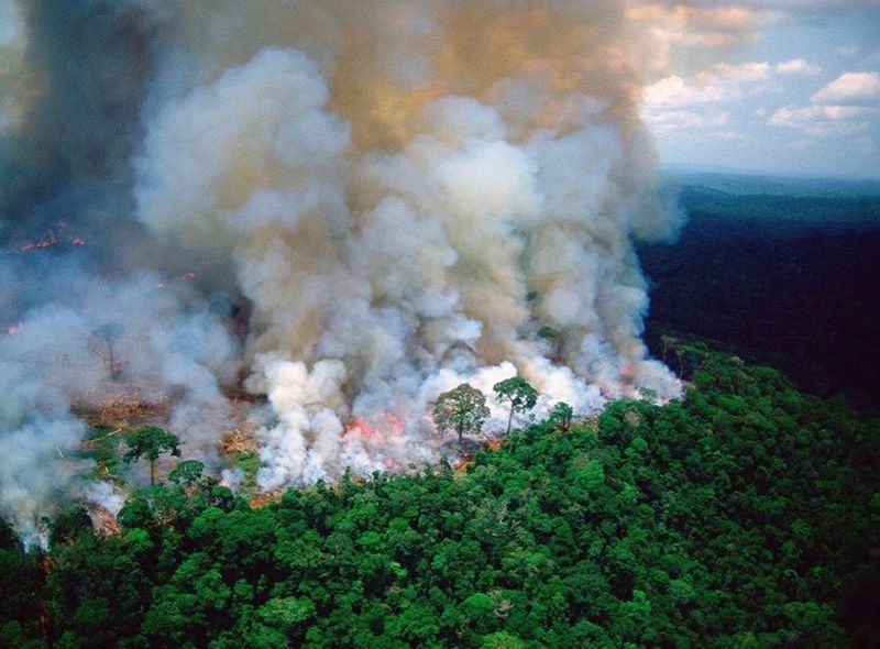Kebakaran Hutan Amazon Mengundang Perhatian Dunia
