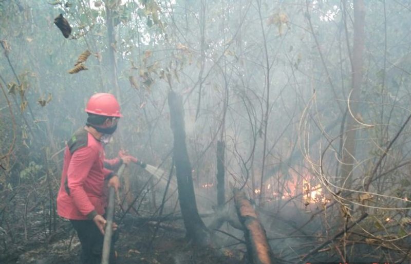 kebakaran lahan-jambi-meningkat