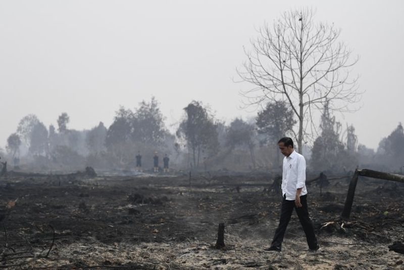 presiden-jokowi-tinjau-kebakaran-riau-