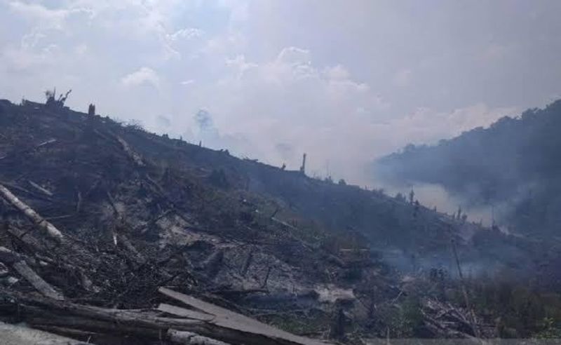 hutan terbakar-sigi