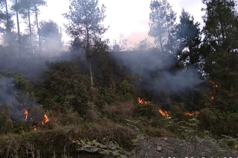lereng merapi terbakar