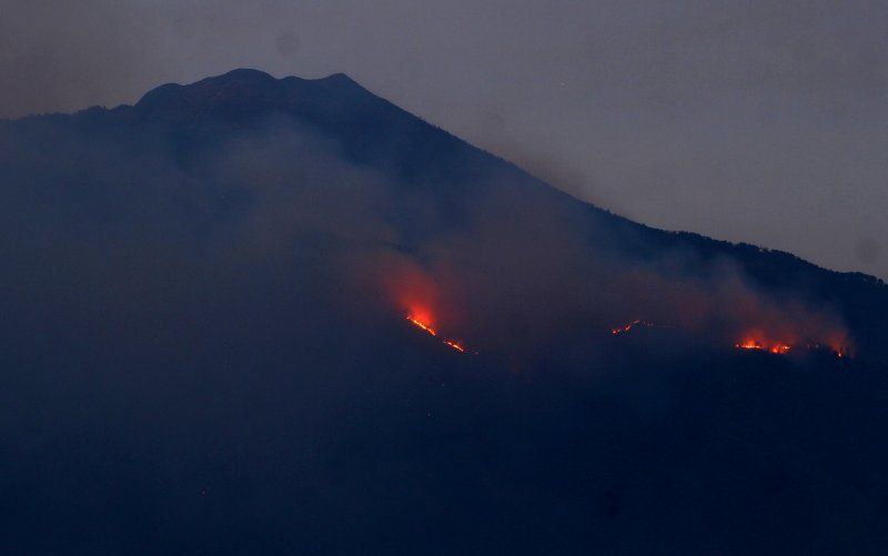 gunung arjuno-kebakaran