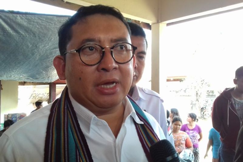 fadli zon