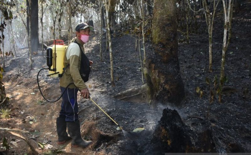 gunung lomppobattang-terbakar