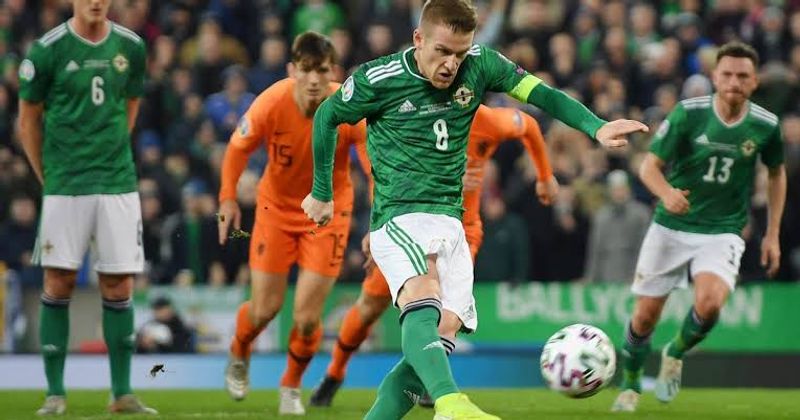 irlandia utara vs belanda (mirror co uk)