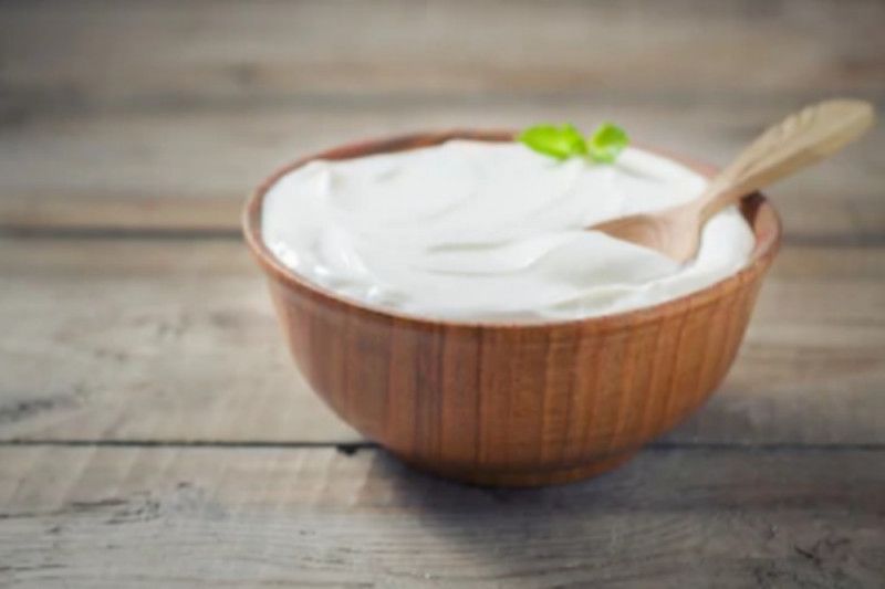 yogurt