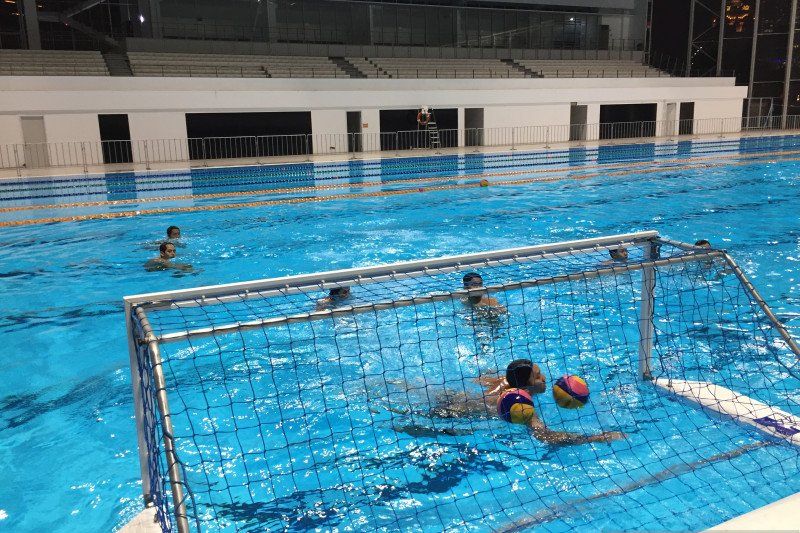 timnas polo air (antaranews com)