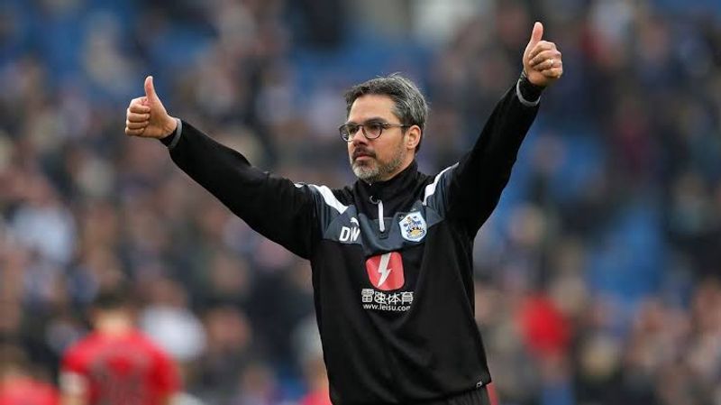 david wagner (bundesliga com)