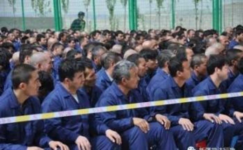 uighur