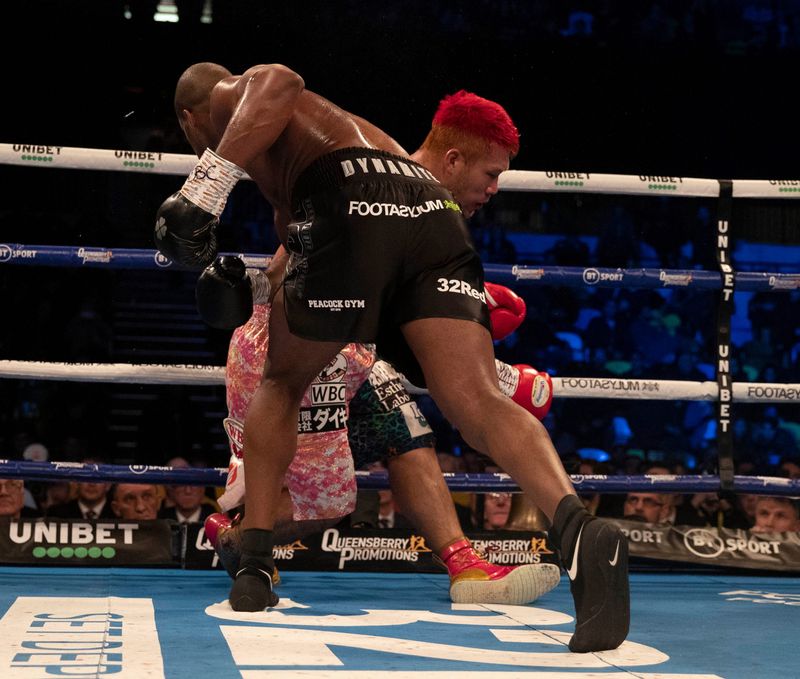daniel dubois memukul fujimoto (bbc com)
