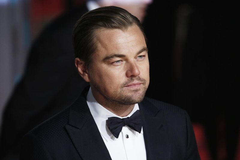 leonardo dicaprio (standard co uk)