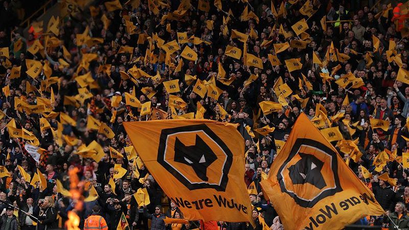 fans wolves (signal107 co uk)