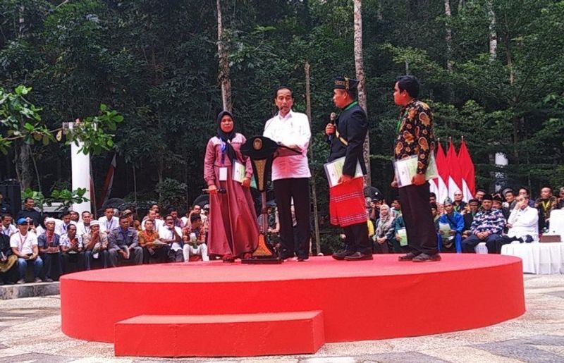 jokowi-hutan