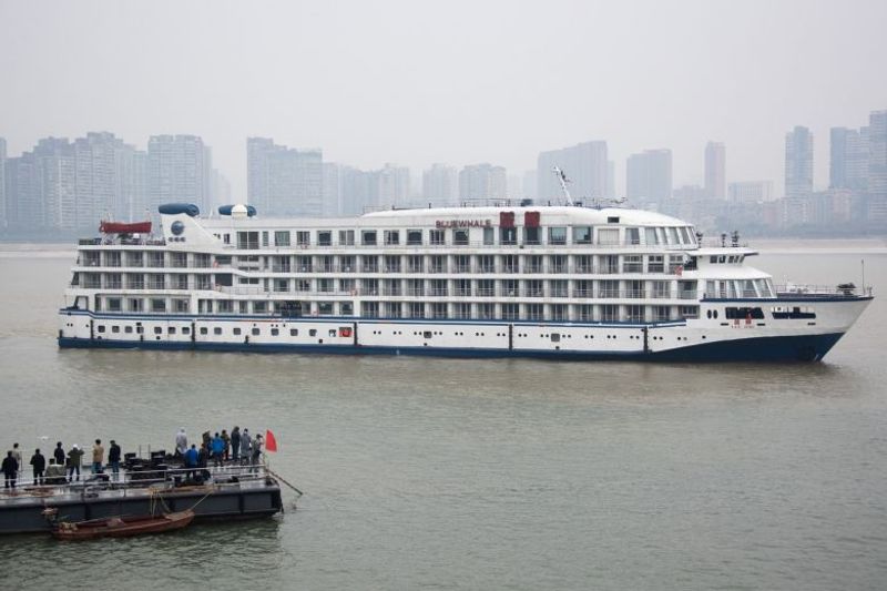 blue whale di wuhan