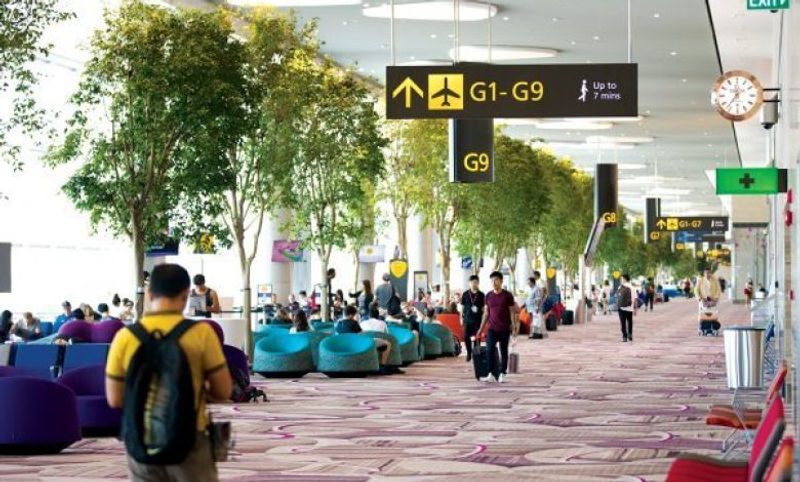 Singapore-Changi-Airport-e1583300999176