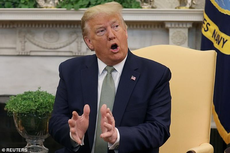 donald trump (dailymail co uk)
