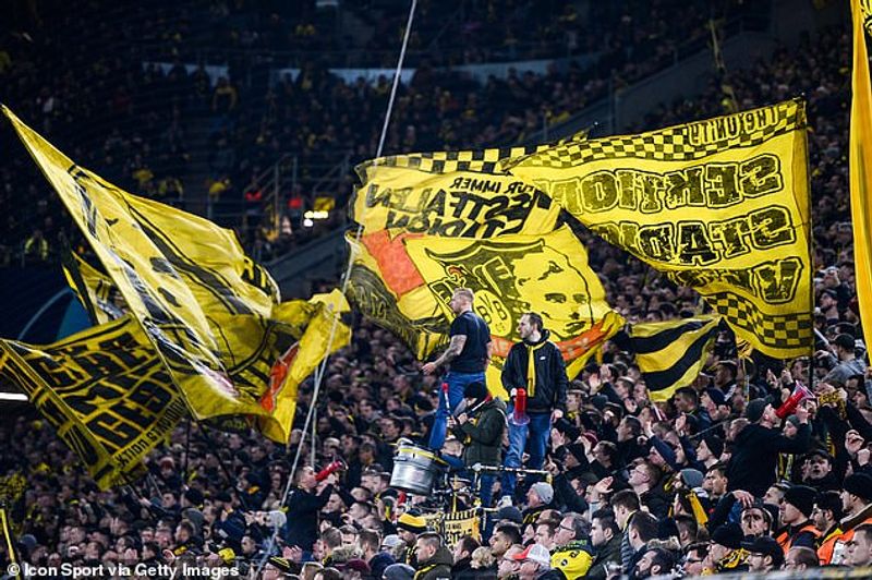 suporter borussia dortmund (dailymail co uk)
