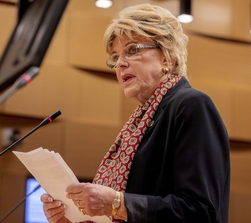 carolyn goodman