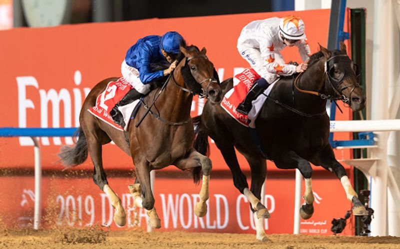 pacuan kuda (dubairacingclub com)