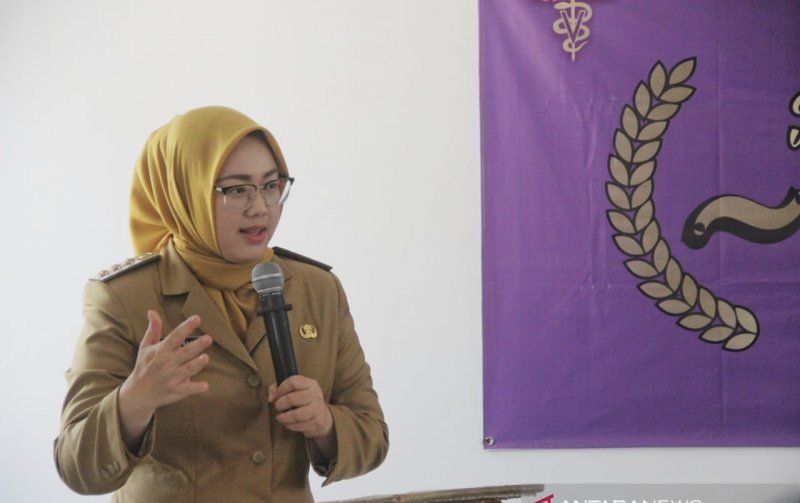 bupati purwakarta