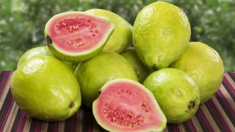 manfaat-jambu-biji-untuk-cegah-corona