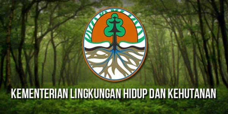 Raker Virtual dengan DPR RI, Menteri LHK Paparkan Upaya Pencegahan dan Penangana