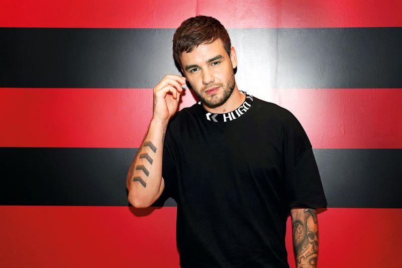 liam payne (thetimes co uk)