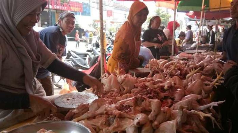 20180606daging-ayam-tembus-rp55-ribu-telur-stabil2_20180606_184546