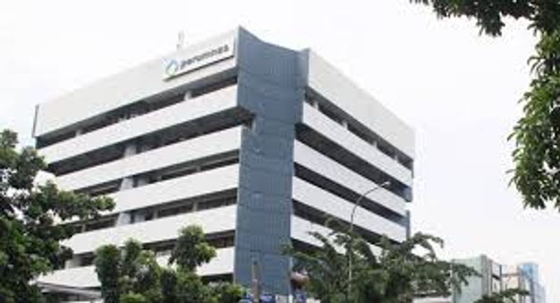 perumnas