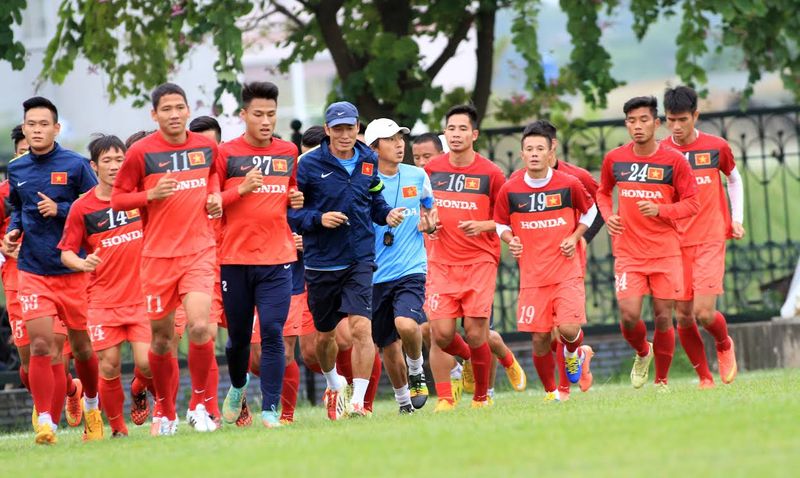 timnas vietnam (hff vn)