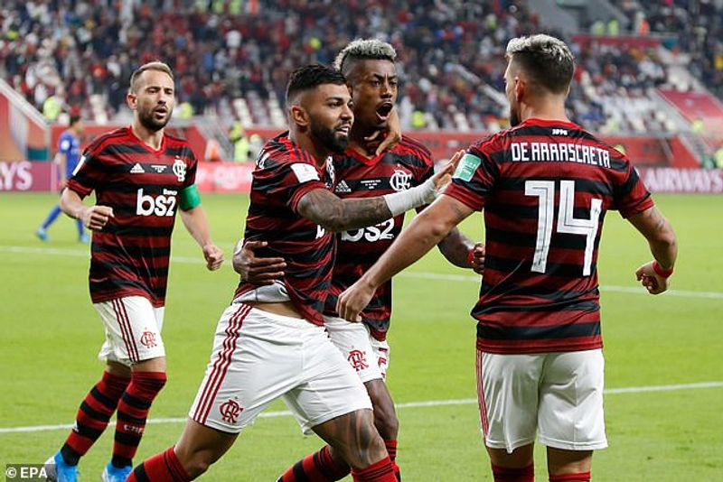 flamengo (dailymail co uk)