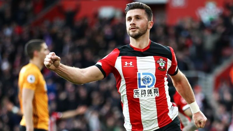 shane long (skysports com)
