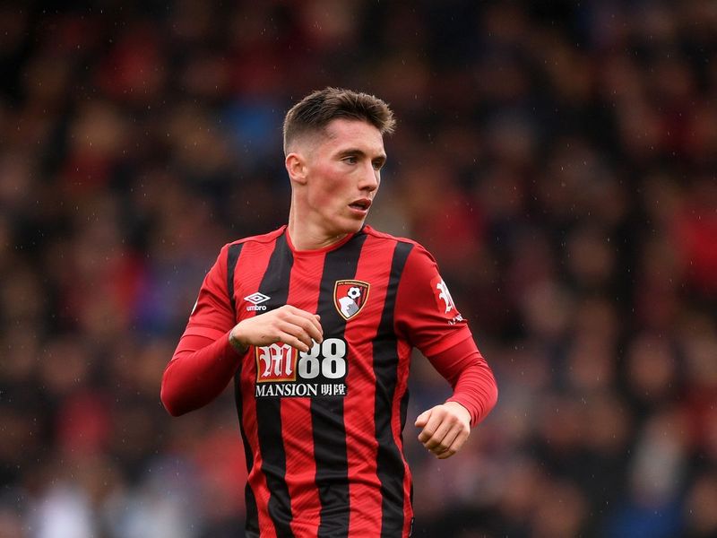 harry wilson (mirror co uk)