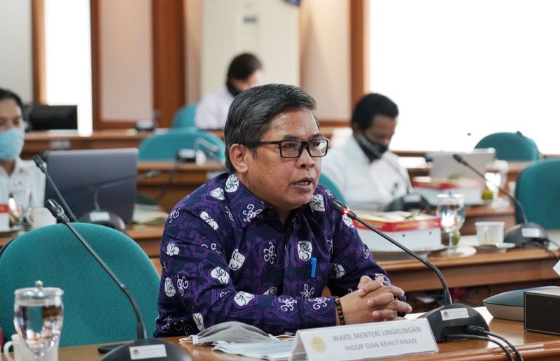 Reposisi Areal Eks-PLG sebagai Kawasan Pangan Terpadu, Modern dan Berkelanjutan