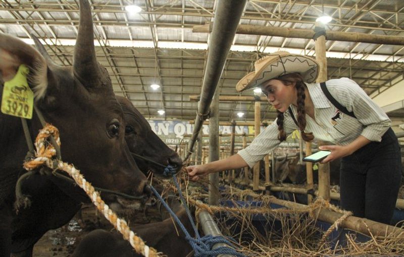 antarafoto-spg-hewan-qurban-di-depok-182019-ada-2