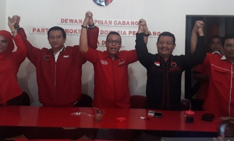 pdip1