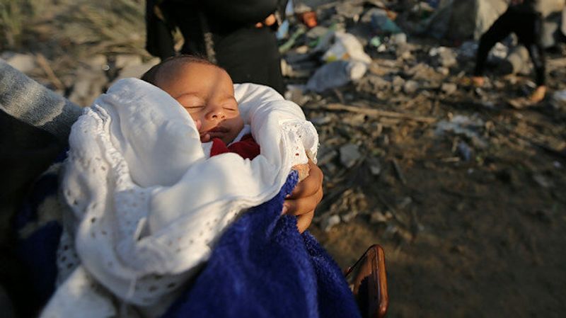 bayi palestina