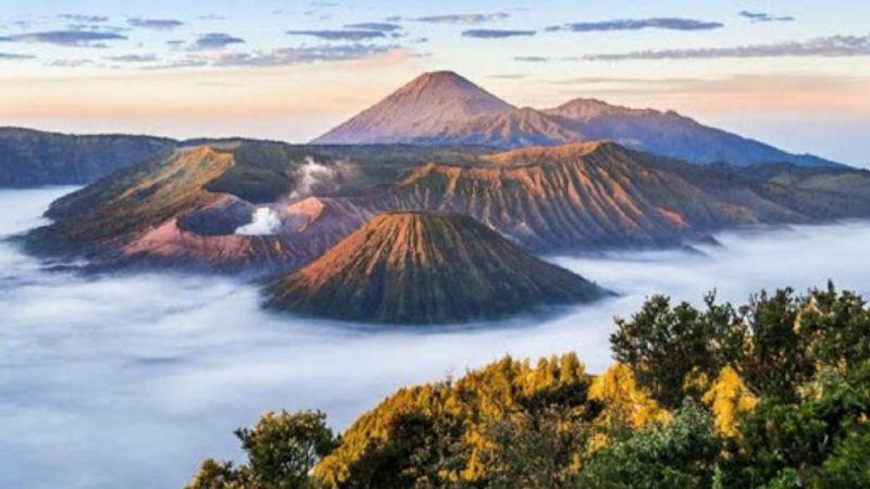 bromo